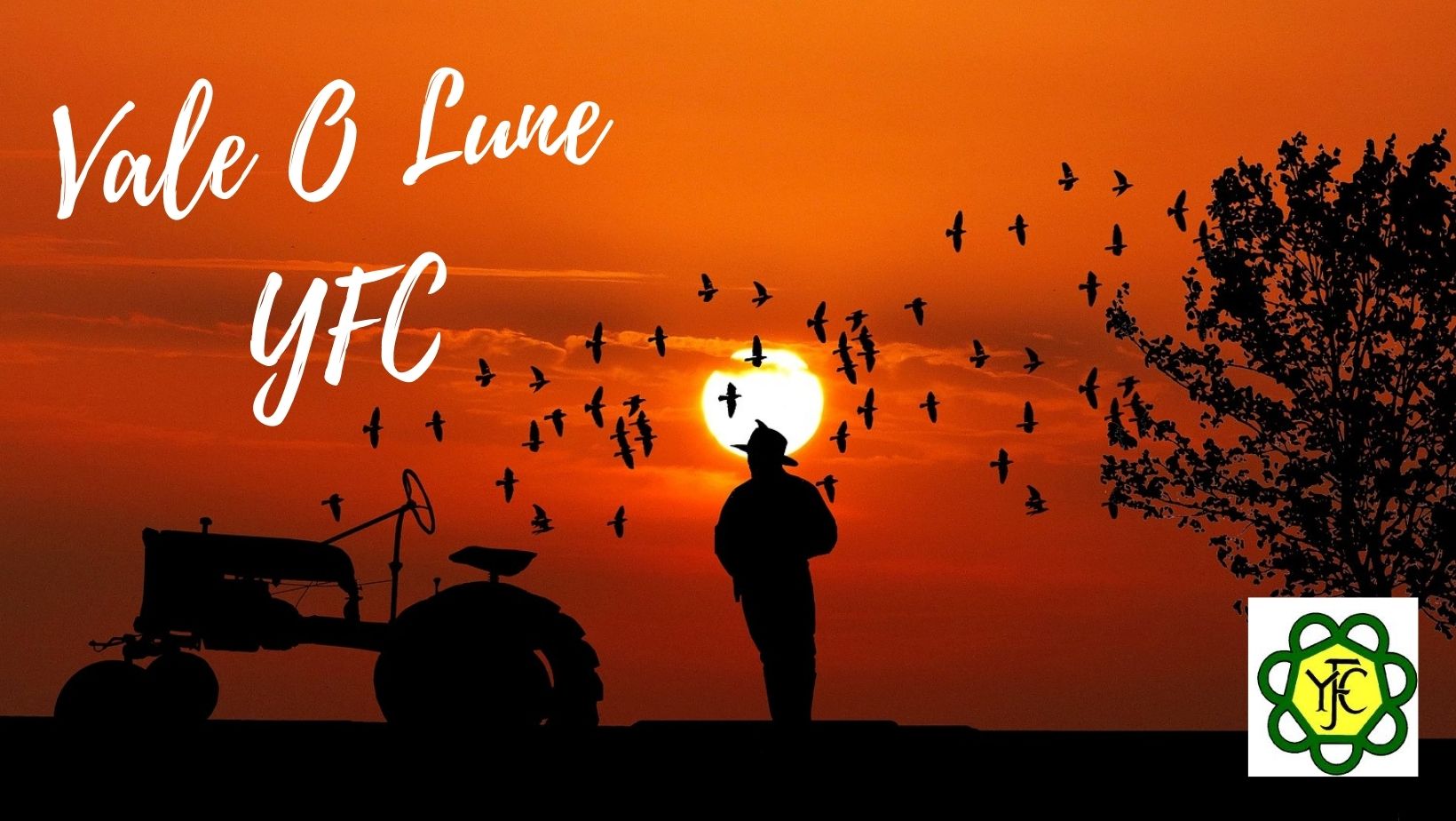 Header Image